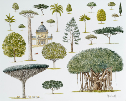 A Society Grows Great When Old Men Plant Trees Whose Shade They Know They Will Never Sit In (Greek Proverb) 16 x 20