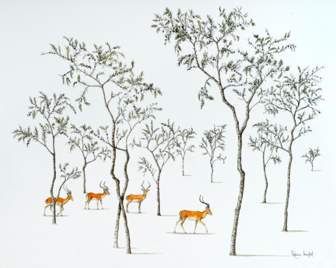 Amongst The Whistling Thorns 20 x 16