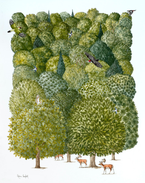 Can't See The Woods For The Trees (English Proverb) 20 x 16