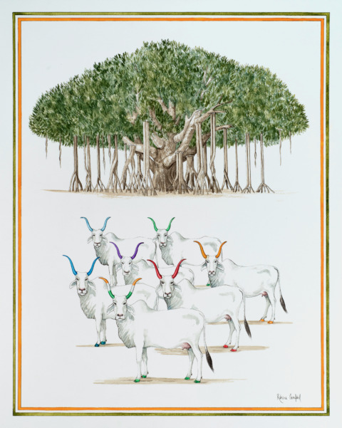 In The Land Where The Banyan Tree and the Cows Are Sacred 20x16
