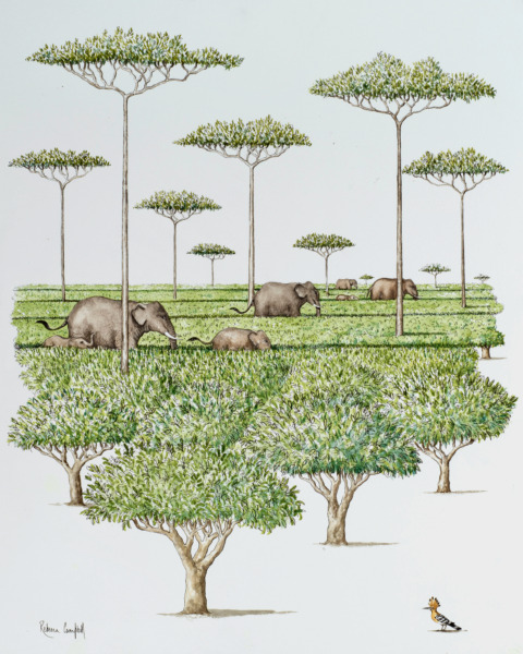 Tall Trees Creating Shade, Small Shrubs Creating Tea, It's A Win Win 20x16